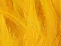 Rooster Saddle Feather - Sun Burst