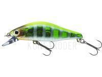 Wobbler Daiwa Tournament Wise Minnow 50FS | 5cm 5.2g - chart back zebra