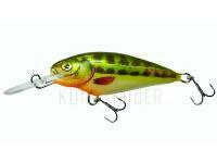 Dorado Invader I-5 Floating MN