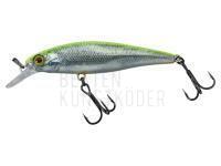 Wobbler Illex Squad Minnow 65 SP - RT Visible Roach