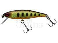 Wobbler Illex Tiny Fry 50 SP - Muddy Yamame