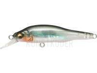 Wobbler Megabass X-80 Jr 6.5cm 7g - #004 ITO Clear Laker