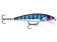 Wobbler Rapala X-Rap Magnum Cast 10cm 42g - HDBTO HD Bonito