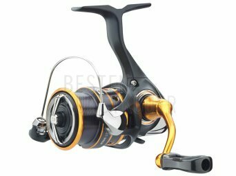 Neue Daiwa-Rollen zur Saison 2025!