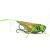 Imago Lures Hopper Flow BESTEN KUNSTKODER Angelshop