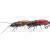 Microbait Wobbler Stictoleptura Rubra BESTEN KUNSTKODER Angelshop