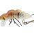 Microbait Wobbler Hornet BESTEN KUNSTKODER Angelshop